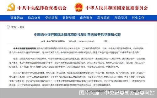 中国农业银行国际金融部原巡视员刘燕忠被开除党籍和公职