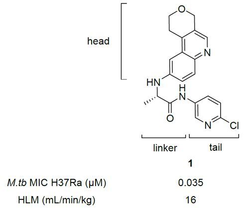 面对全球死亡人数最多的传染病，新型抑制剂能否帮助应对耐药性危机？