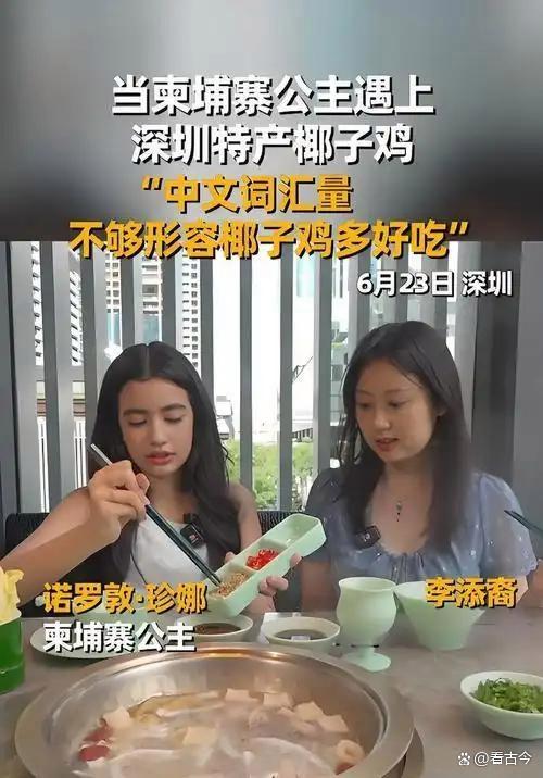 柬埔寨公主现身深圳吃椰子鸡、遛机器狗