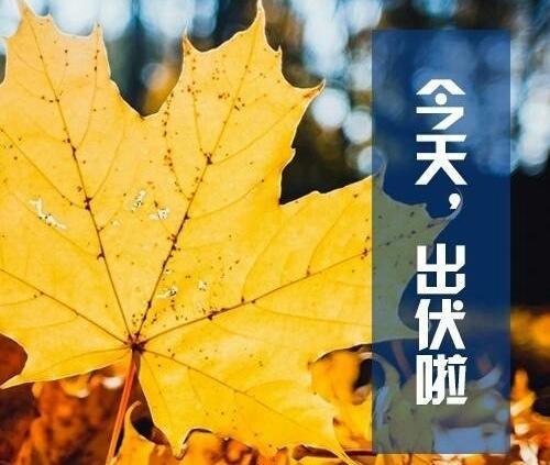 今日三伏天最后一天 有啥征兆？谚语揭示未来天气