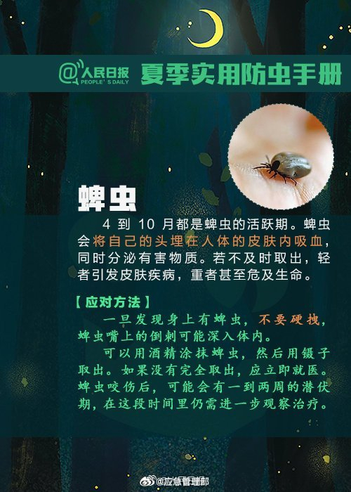 北京多区市民发现隐翅虫炒股开户要求，遇到千万不要用手拍打！ 实用防虫手册+急救法