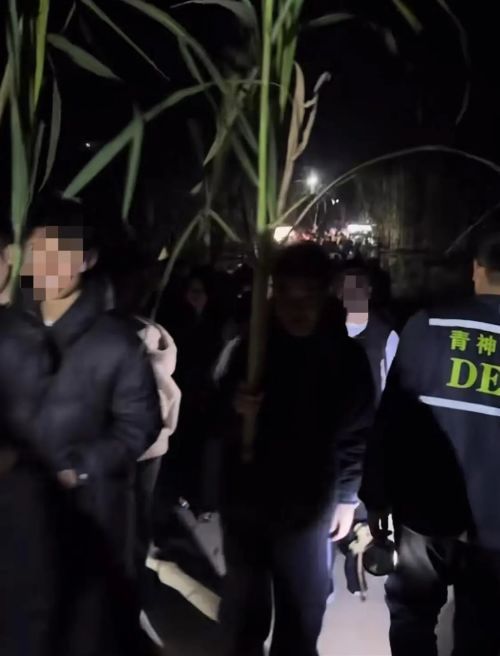 体验付费偷甘蔗第一视角有多刺激 乡村乐趣爆火出圈