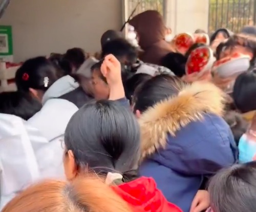 流动草莓摊因网友评价太好吃火了！5分钟卖200盆草莓阿姨看到排队懵了