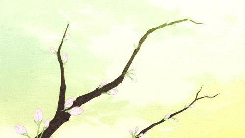 春天是结节的“活动期”吗 中医解析防治黄金期