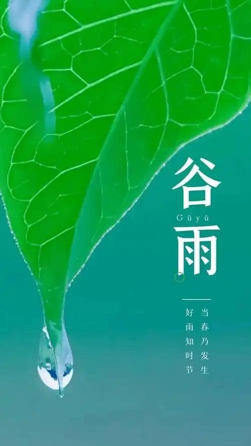 三月初五“月忌日” 4事别犯忌讳 顺应自然智慧生活