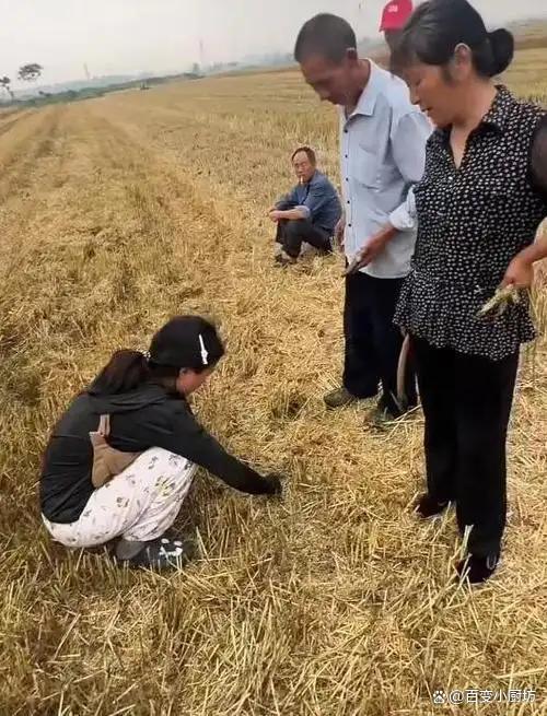 割四赔五乱象 善意援手反遭讹诈风波