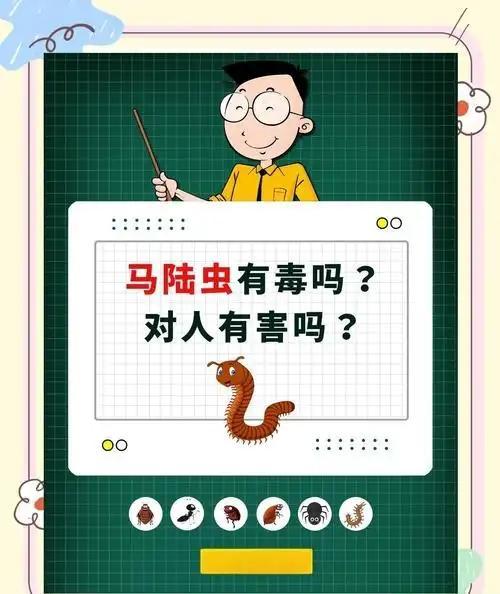 公园树下“千足虫”横行 专家科普 城市人对自然的陌生感