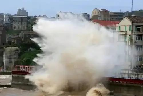 超级台风“巴威”可能一路刮到东北 气象史上罕见“迷踪步”