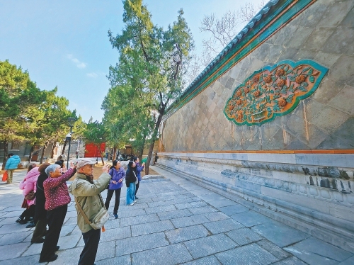 济南：在城市的一角 捕捉春意生机