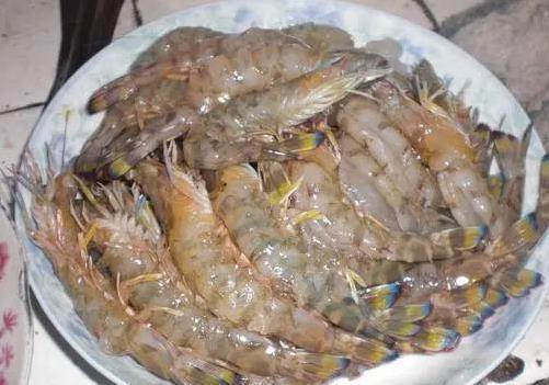 鲜虾10分钟变美食，关键1步出错全白费，你敢不敢试？