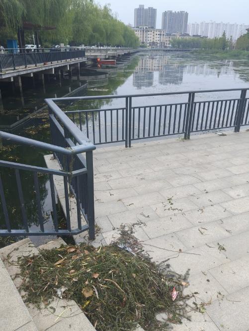 一女子落水溺亡警方排除他杀 帝湖悲剧引关注