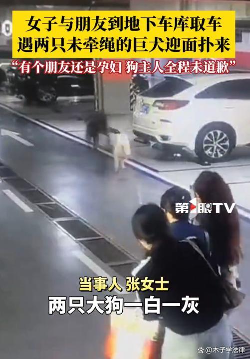 车库被狗追咬女子发声：狗主人全程无歉意，已报警