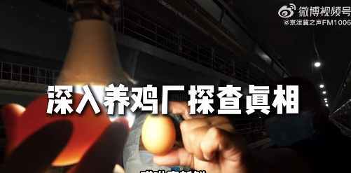 北京鸡蛋从生产到餐桌过程全揭秘！