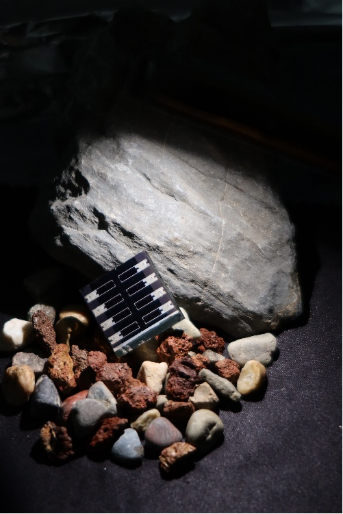 上周,我国科技发展再添新成果