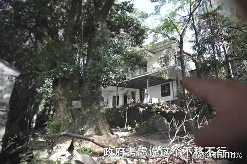 浙江600年古樹被毀誰來擔(dān)責(zé) 領(lǐng)導(dǎo)批示引發(fā)爭議