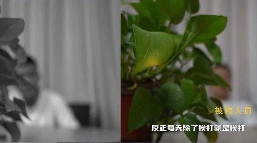 人间炼狱！被骗到缅甸的人都遭遇了什么