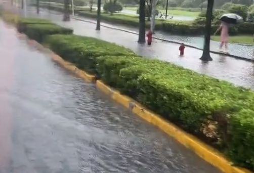 上海网友称今天在暴雨中坐船上班 网友：上海这雨专淋打工人！