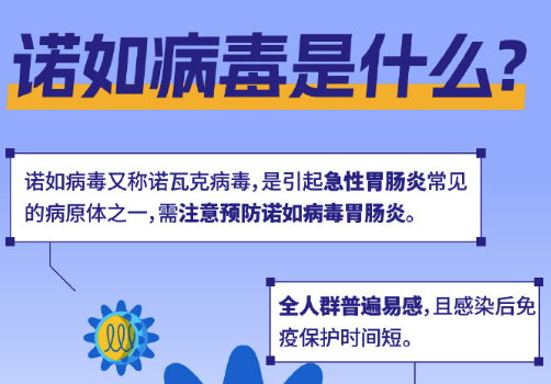 诺如病毒感染后儿童呕吐成人腹泻？高发期如何预防感染 