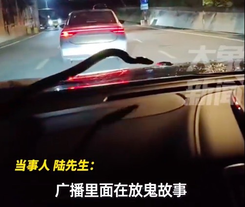 男子开车挡风玻璃上探出一条蛇：一米多长，昂头吐信子