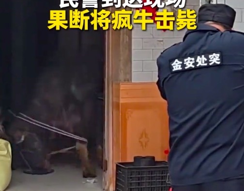 现场！水牛发疯闯入村民家中厨房 民警果断将疯牛击毙