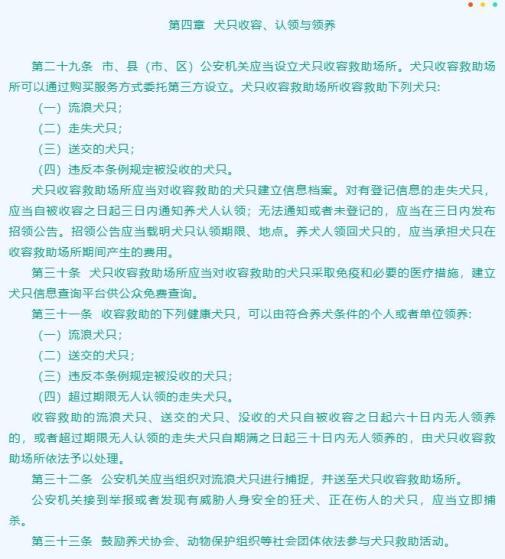 网友：无本生意？山东一感染者白天救狗晚上卖狗