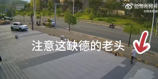 老大爷用拐杖猛击小猫头部 被打后小猫四肢僵硬大小便失禁