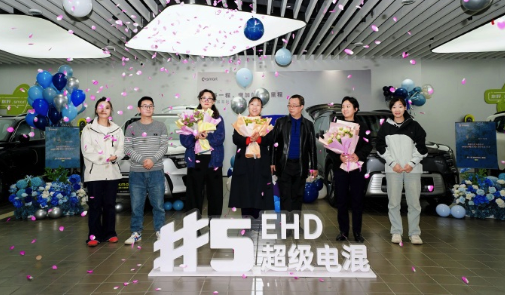 中德混血的超级电混够理想吗