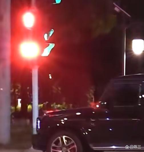 曝袁姗姗违规停车 遛狗温情难掩违章事实