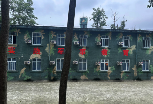 失控的监护“外包”：抑郁少女被家长送进特训机构之后