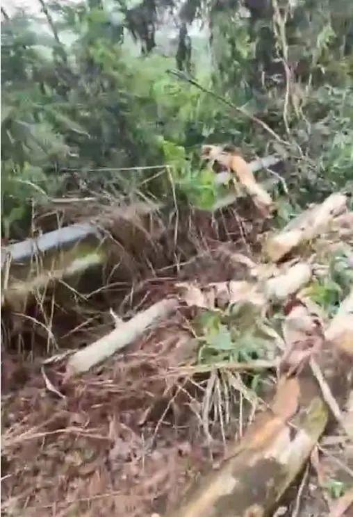 廣西一地持續(xù)暴雨：稻田成河，村莊受災(zāi)嚴(yán)重