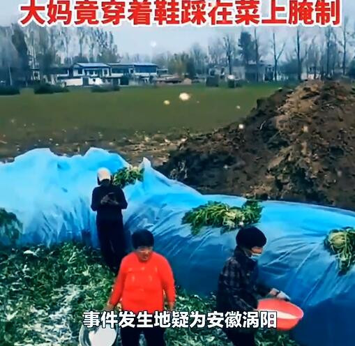 安徽一地村民腌制酸菜时穿鞋踩踏 餐馆店主：腌的多的不敢要