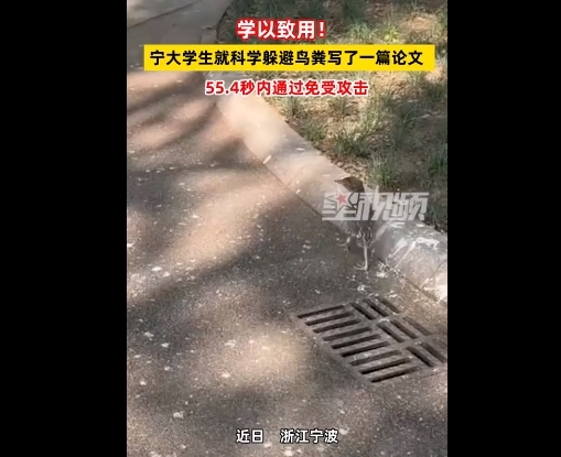 宁大学生就科学躲避鸟粪写了篇论文，结论真的有效果吗？