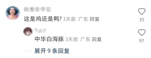 大湾鸡越看越可爱 顶流吉祥物出圈记