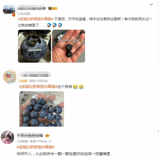 “漿果之王”有霉菌,？吃前記得給它掏“耳朵”