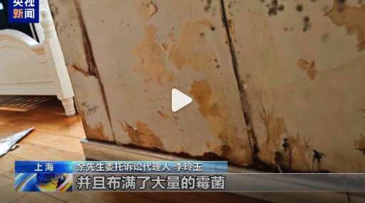 6675元租的房發(fā)霉長蘑菇，畢業(yè)季租房如何避坑？