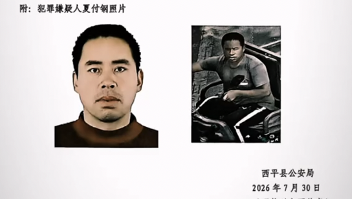 河南西平刑案嫌犯逃窜时伤害多人 嫌疑人已被抓获