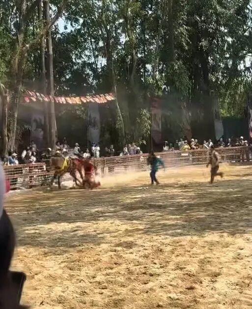 演员马术饰演不测坠马遭拖行 现场蹙迫处治