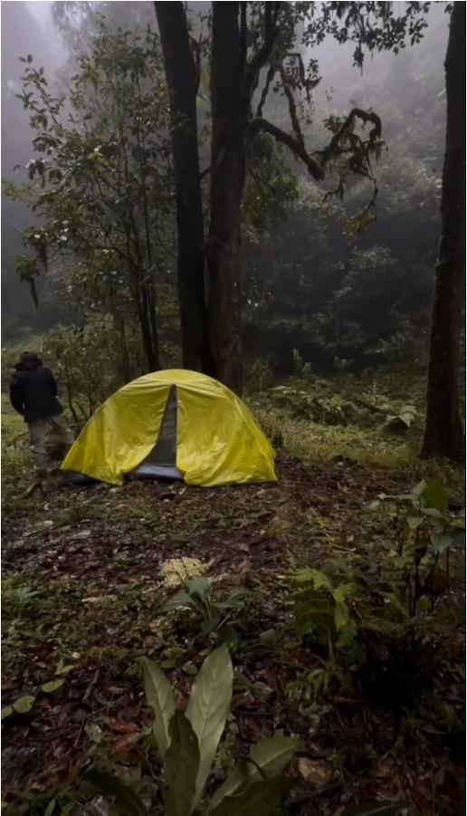 调查人员称哀牢山禁入公告前年就有 女博主擅闯道歉