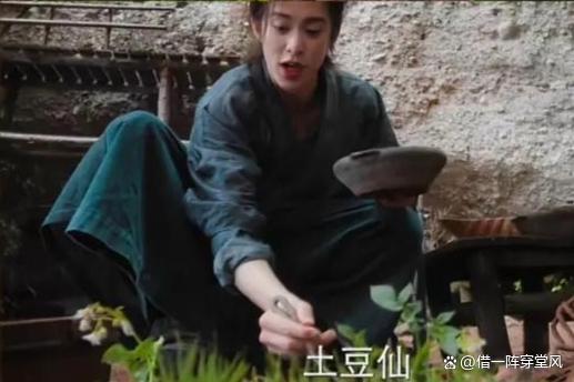 李沁透露咸鱼飞升开播时间 王鹤棣领衔仙侠群像剧