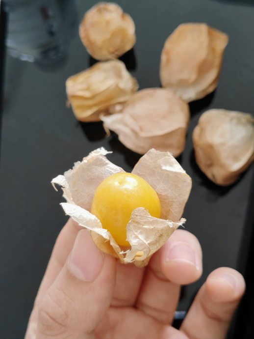 什么生果一听就很东北 冻货三巨头领衔