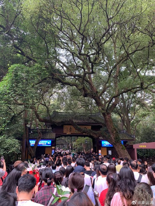 景区人多你还会进去吗