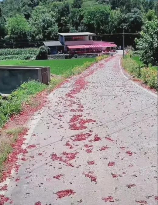 儿子同意认亲爸爸激动又心痛 有轻微抑郁差点轻生