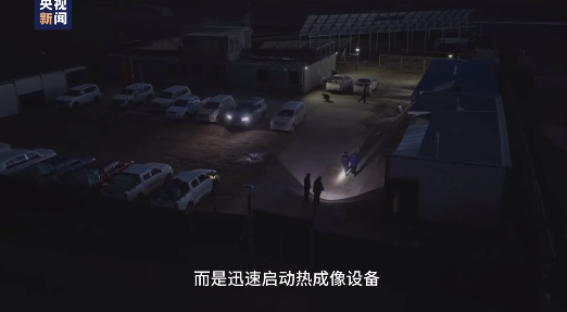 记者采访遇熊第一反应拿摄像机