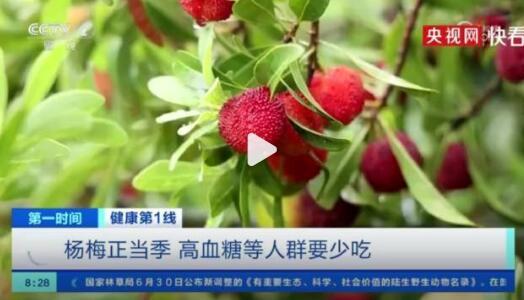 医生建议杨梅一天最多吃20颗 贪食或致险情