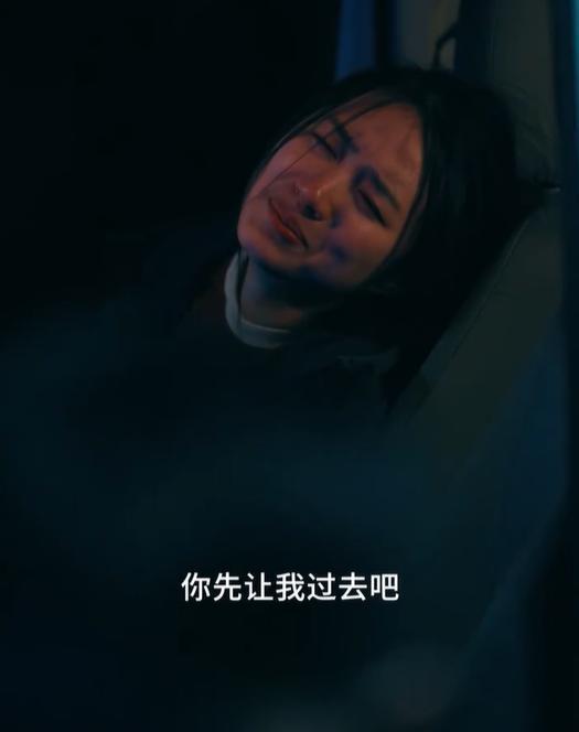 男子醉驾送早产妻子就医被判无罪 紧急避险获理解