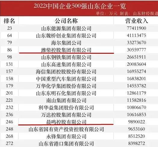 潍坊5家企业入围“2022中国企业500强”