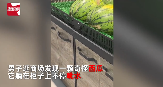 男子逛超市发现西瓜呲水最后爆炸 网友：瓜瓤发酵压强增大