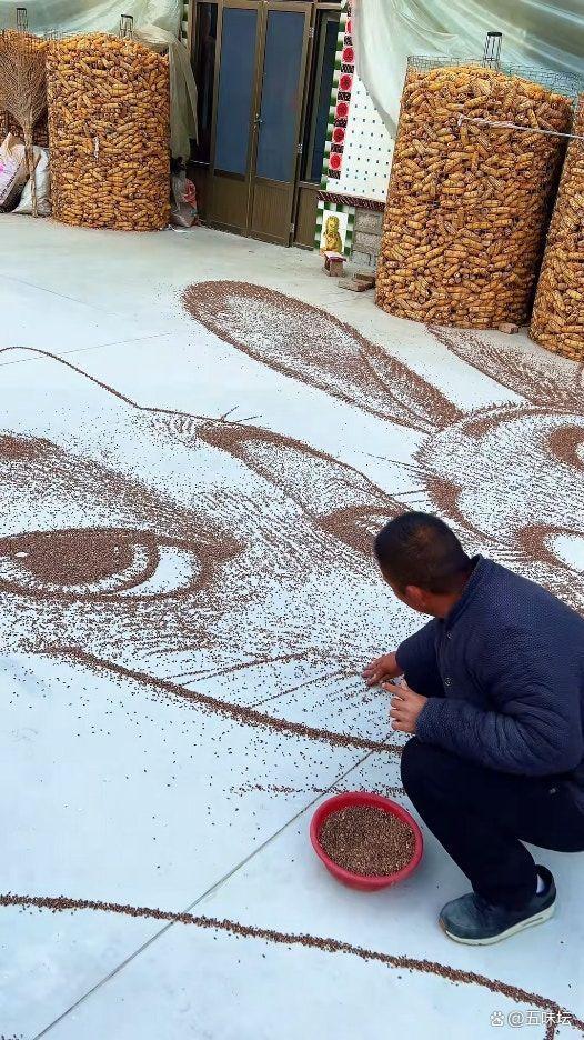 農(nóng)戶用糧食畫《瘋狂動物城》巨幅海報(bào) 創(chuàng)意致敬票房佳績