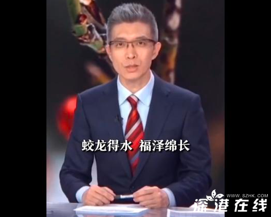 朱广权的拜年文案含龙量很高 网友：建议转发收藏！