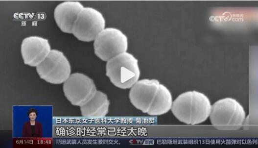 日本食人菌是什么病